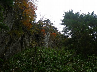 http://entotsuyama.hobby-web.net/IMGP1951.jpg