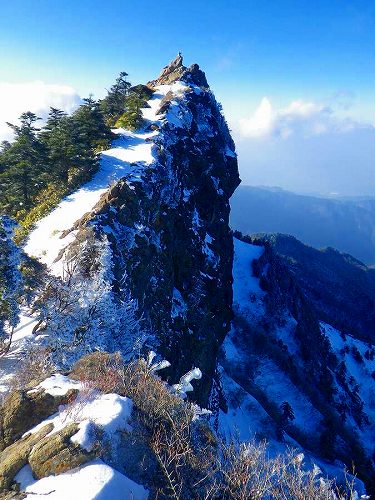 http://entotsuyama.hobby-web.net/toryo-78.jpg