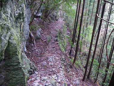 http://entotsuyama.hobby-web.net/ohjisha1st96.jpg