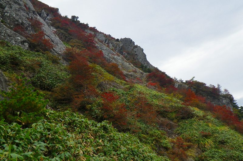 http://entotsuyama.hobby-web.net/IMGP1957.jpg