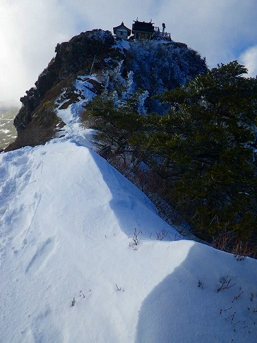 http://entotsuyama.hobby-web.net/toryo-81.jpg