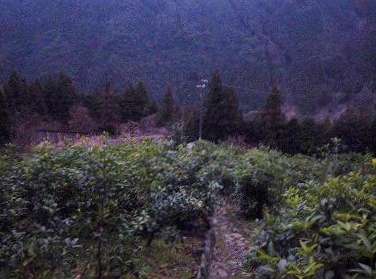 http://entotsuyama.hobby-web.net/itazuri96.jpg