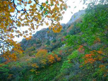 http://entotsuyama.hobby-web.net/kitah20n10g73.jpg