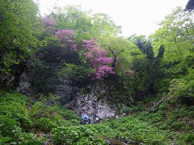 http://entotsuyama.hobby-web.net/nishinokawa36oji88.jpg