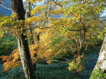 http://entotsuyama.hobby-web.net/kitah20n10g75.jpg