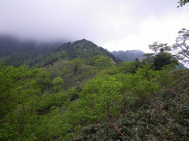 http://entotsuyama.hobby-web.net/nishinokawa36ojiadd6.jpg