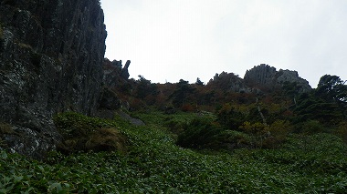 http://entotsuyama.hobby-web.net/IMGP1972.jpg