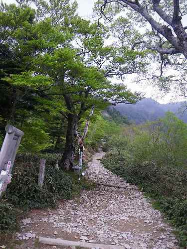 http://entotsuyama.hobby-web.net/nishinokawa36oji92.jpg