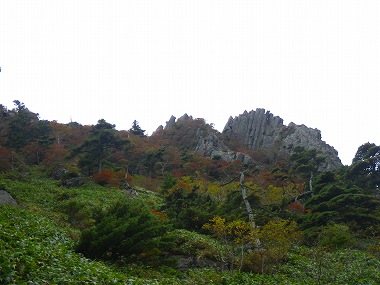http://entotsuyama.hobby-web.net/IMGP1970.jpg