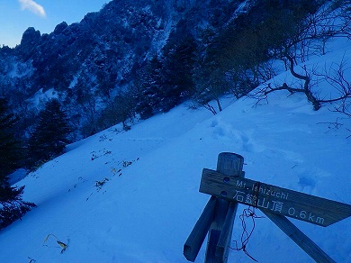http://entotsuyama.hobby-web.net/toryo-87.jpg