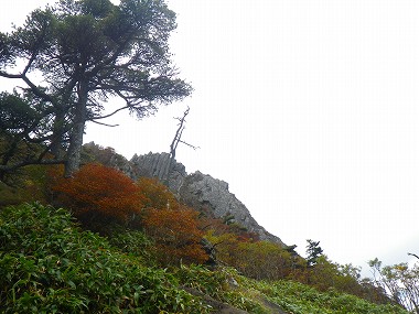 http://entotsuyama.hobby-web.net/IMGP1976.jpg