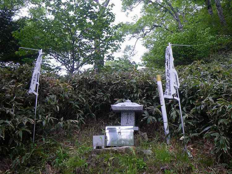 http://entotsuyama.hobby-web.net/nishinokawa36oji93big%20(2).jpg