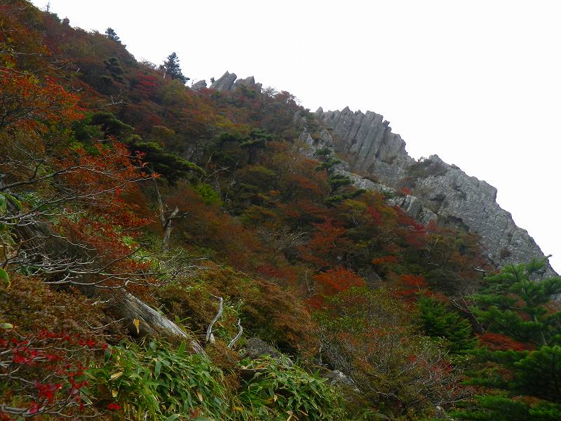 http://entotsuyama.hobby-web.net/IMGP1981.jpg