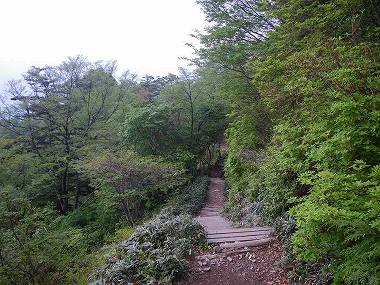 http://entotsuyama.hobby-web.net/nishinokawa36oji94.jpg
