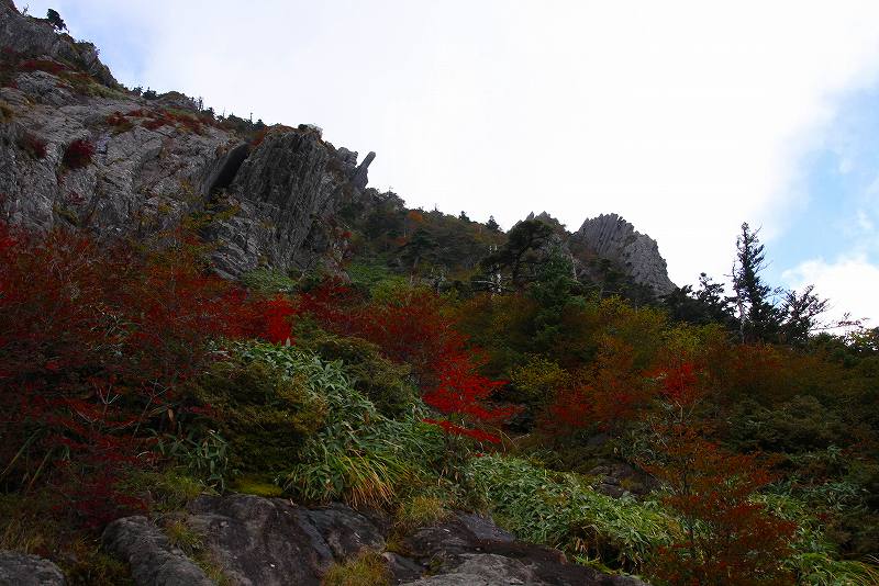 http://entotsuyama.hobby-web.net/kitah20n10g80peko1.jpg