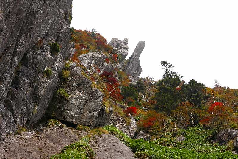 http://entotsuyama.hobby-web.net/kitah20n10g80peko2.jpg