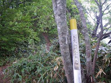 http://entotsuyama.hobby-web.net/nishinokawa36oji97.jpg