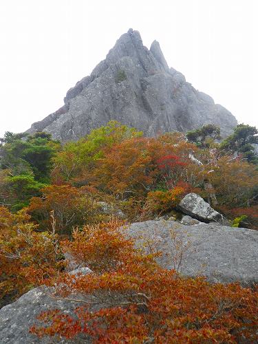 http://entotsuyama.hobby-web.net/IMGP1990.jpg
