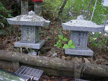 http://entotsuyama.hobby-web.net/nishinokawa36oji99.jpg