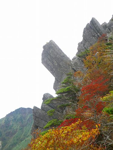 http://entotsuyama.hobby-web.net/IMGP2000.jpg