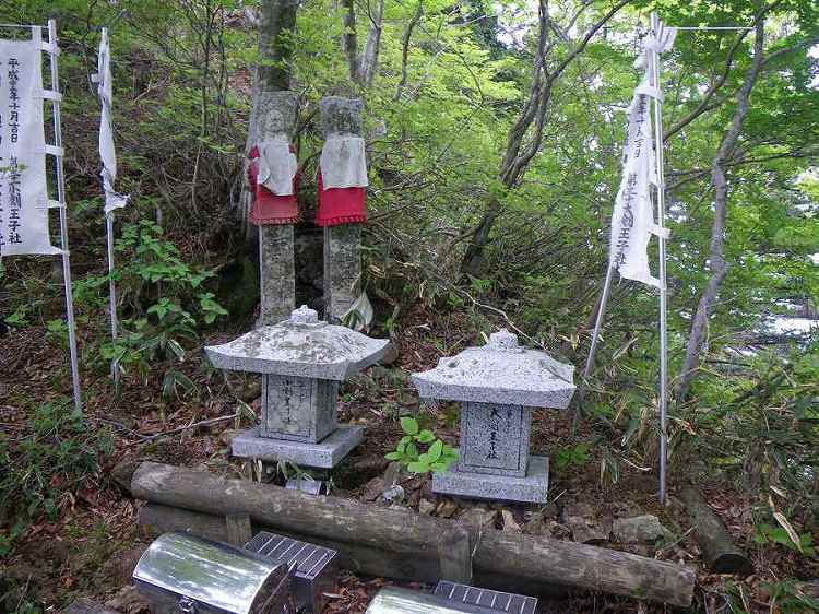 http://entotsuyama.hobby-web.net/nishinokawa36oji98big.jpg