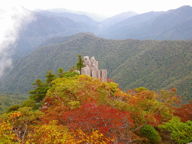 http://entotsuyama.hobby-web.net/IMGP1991.jpg