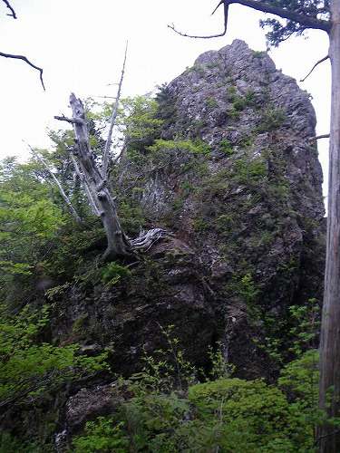 http://entotsuyama.hobby-web.net/nishinokawa36oji102.jpg
