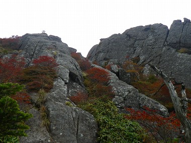 http://entotsuyama.hobby-web.net/IMGP2011.jpg
