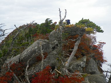 http://entotsuyama.hobby-web.net/IMGP2016.jpg
