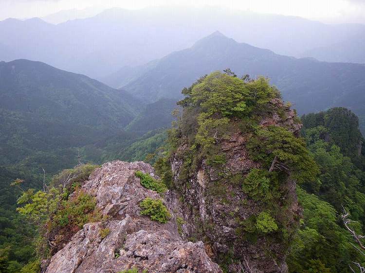 http://entotsuyama.hobby-web.net/nishinokawa36oji106big.jpg
