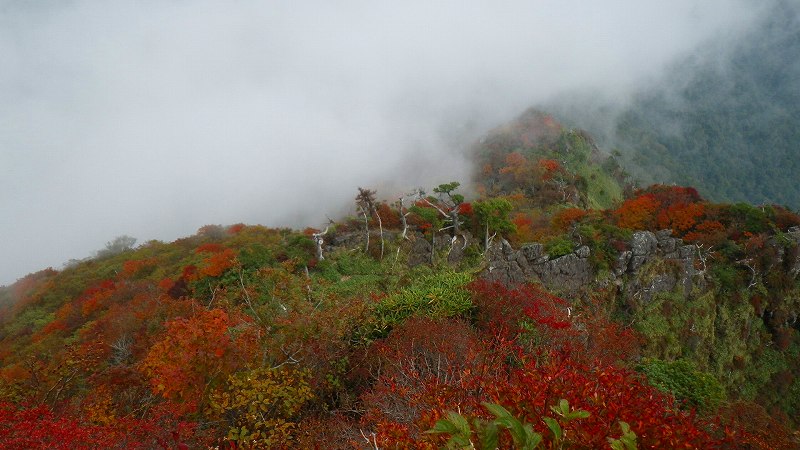 http://entotsuyama.hobby-web.net/IMGP2019.jpg