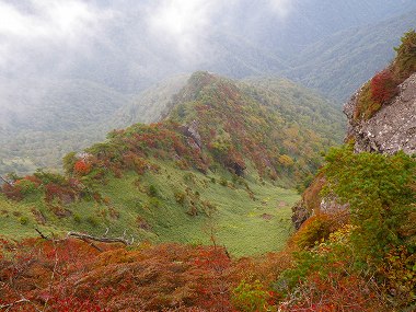 http://entotsuyama.hobby-web.net/IMGP2025.jpg