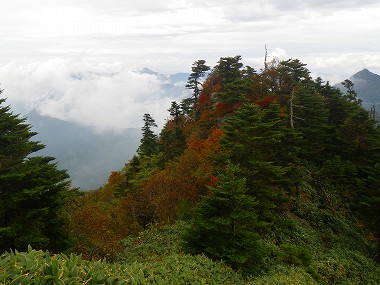 http://entotsuyama.hobby-web.net/IMGP2036.jpg