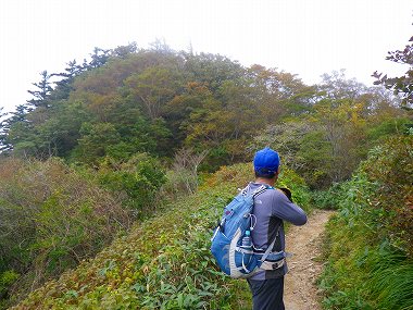 http://entotsuyama.hobby-web.net/IMGP2041.jpg