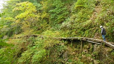 http://entotsuyama.hobby-web.net/IMGP2042.jpg